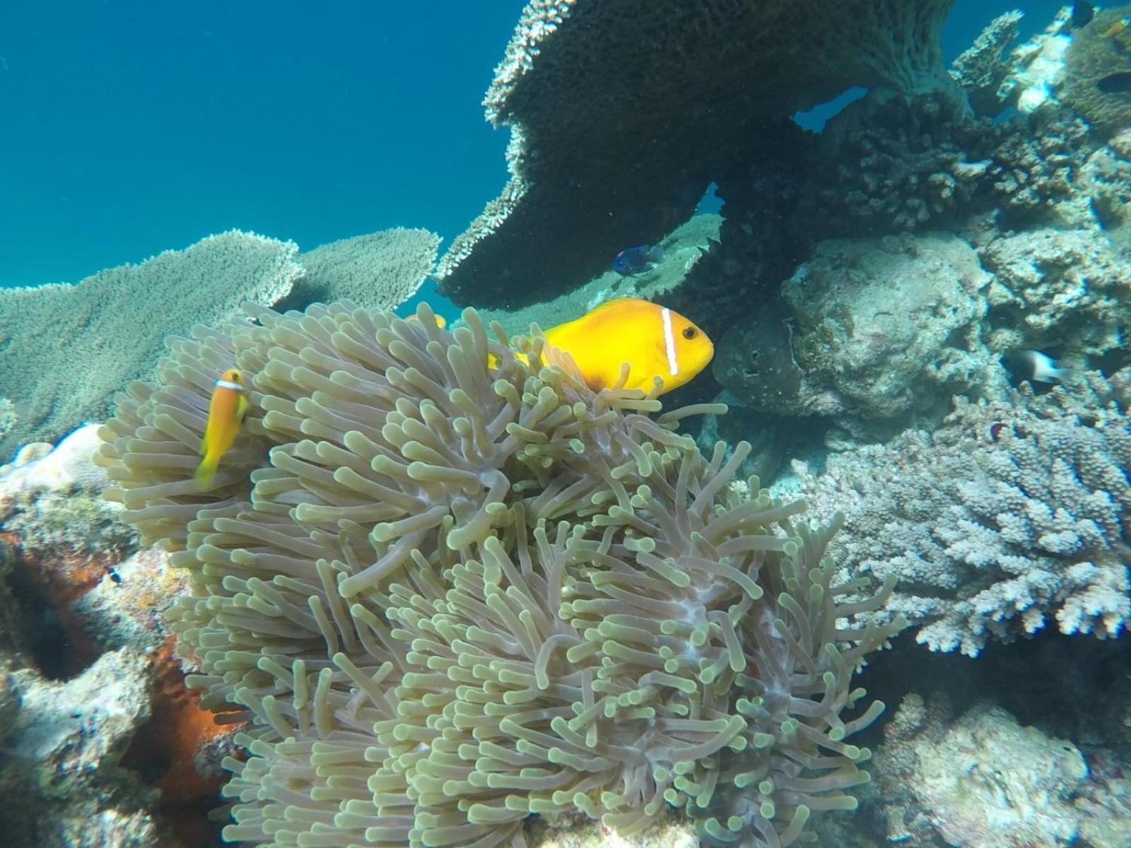 Moodhumaa Inn غوريدهو المظهر الخارجي الصورة